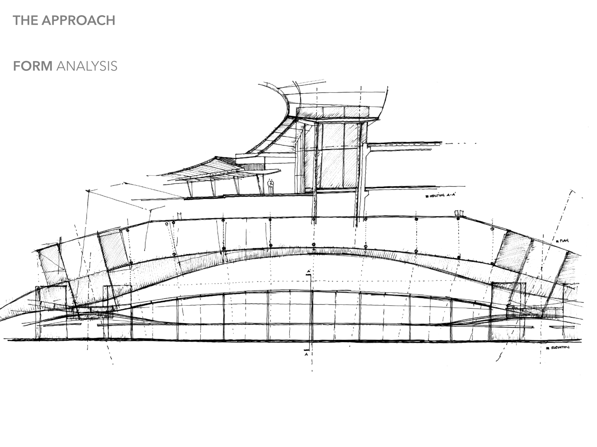 03 animar 03-11